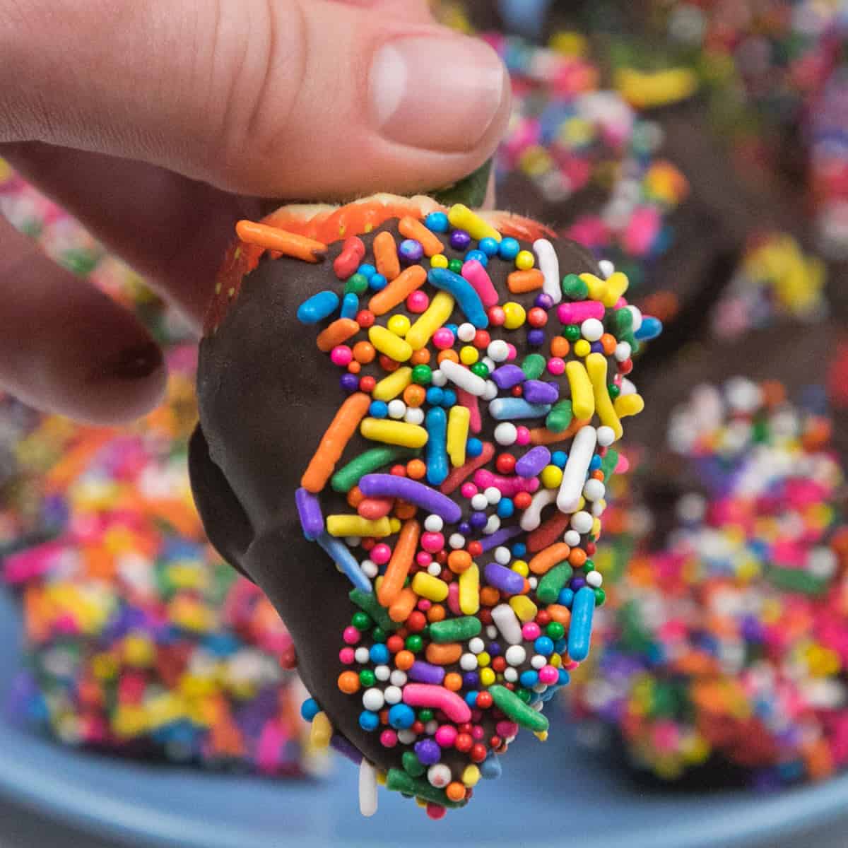 Chocolate Covered Strawberries with Sprinkles