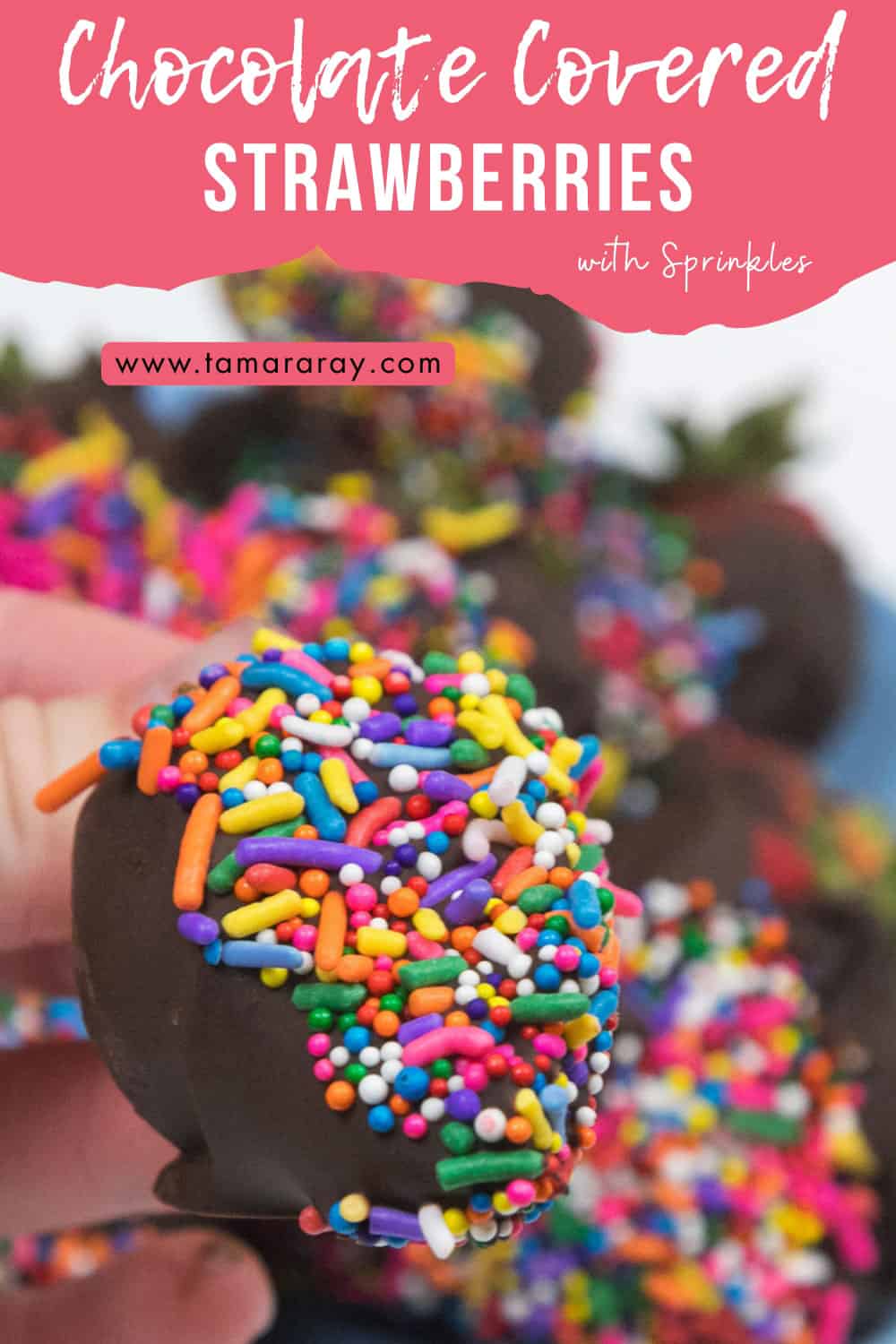 Chocolate covered strawberries with sprinkles.