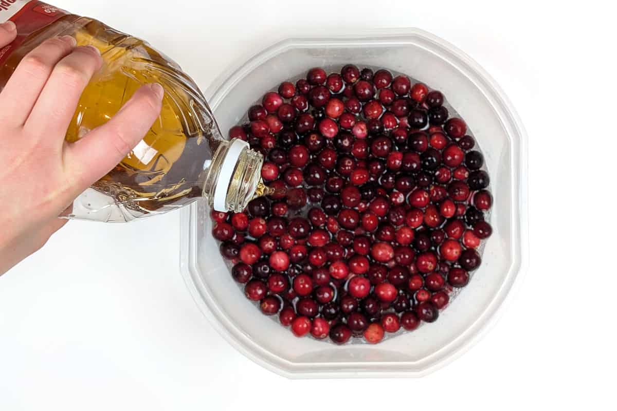 Apple cider juice, fresh cranberries and soda in a bowl.