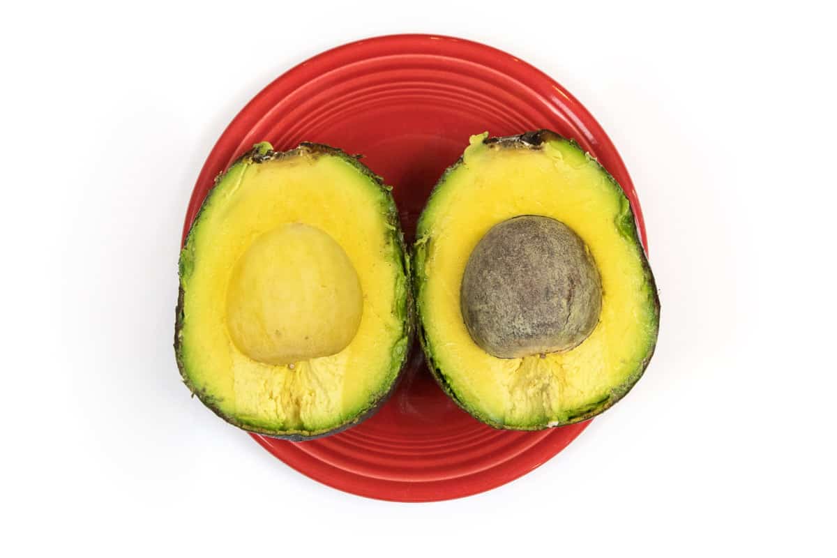 One avocado cut in half.