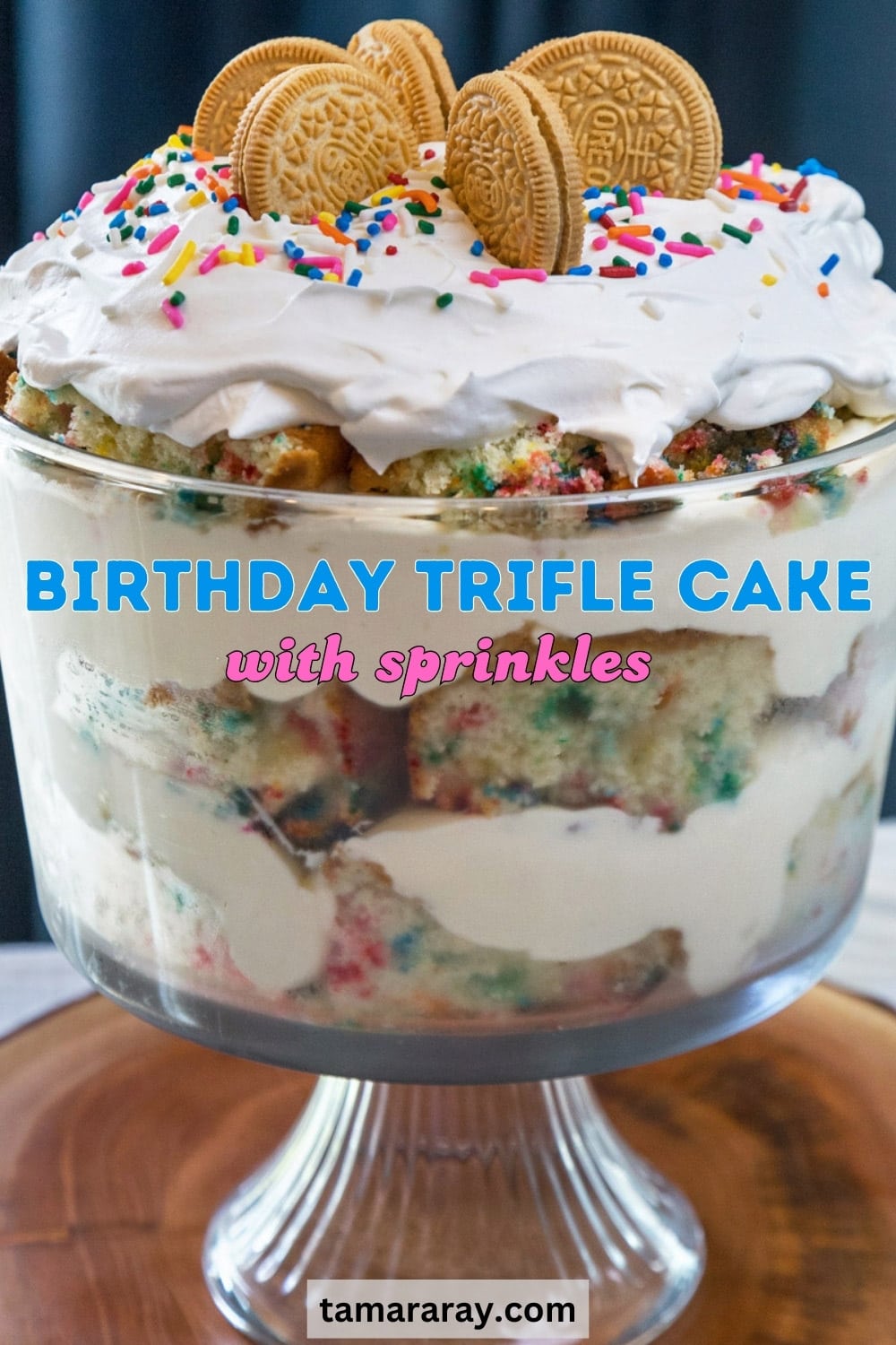 Birthday trifle cake with sprinkles.