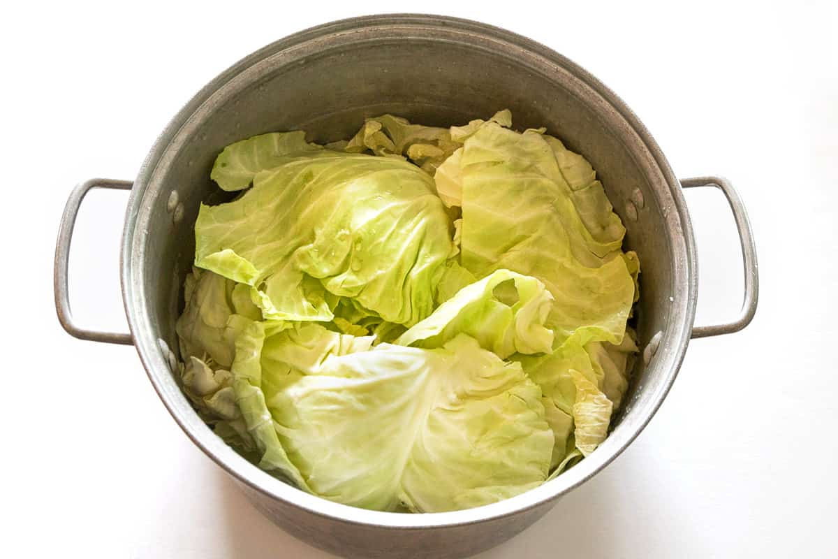 Cabbage in a pot.
