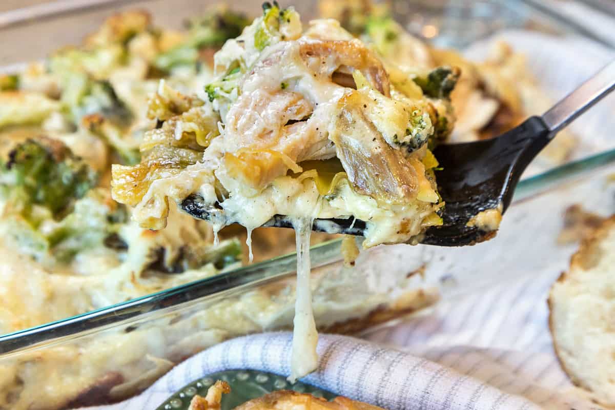 Close up of chicken broccoli lasagna on a fork.
