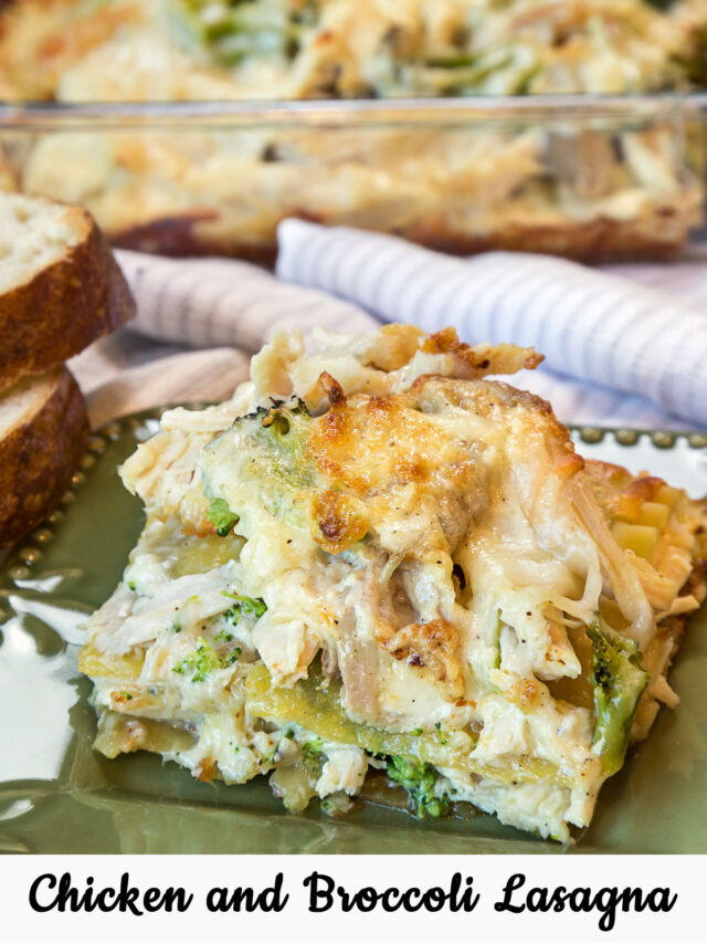 Chicken and Broccoli Lasagna Recipe (Easy) Tamara Ray
