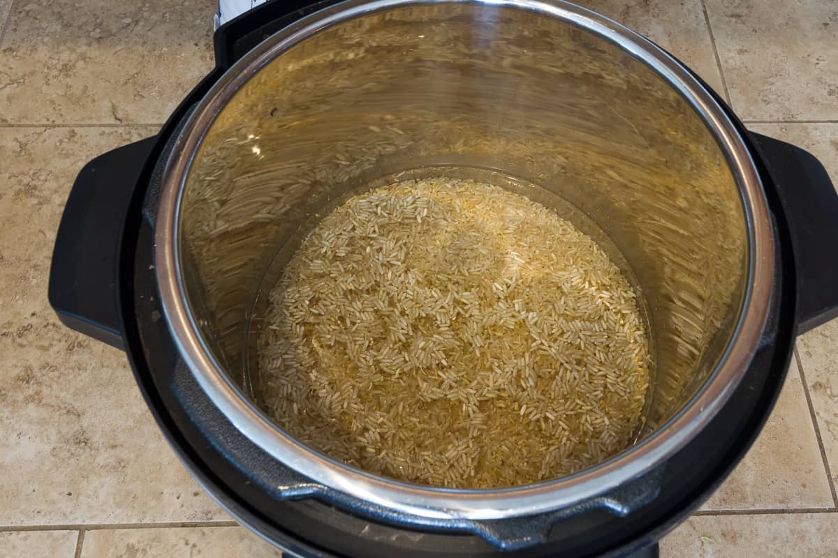 Put brown rice and water in the instant pot.