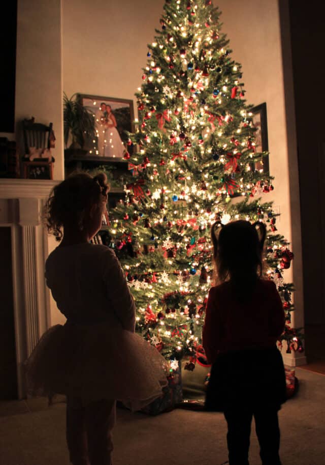 Christmas Tree Silhouette Photos (DIY) - Tamara Ray