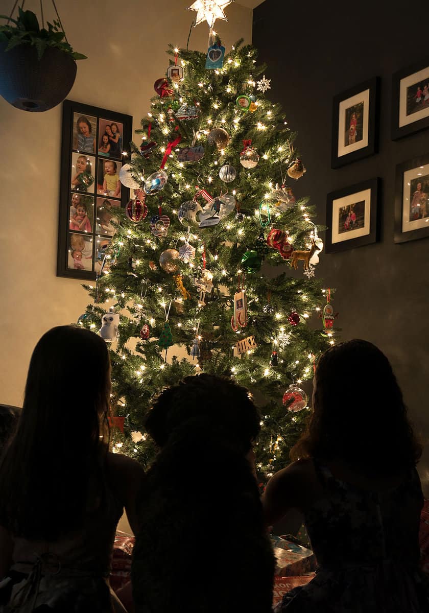 My kids and dog in a silhouetted picture with the Christmas tree lit up.