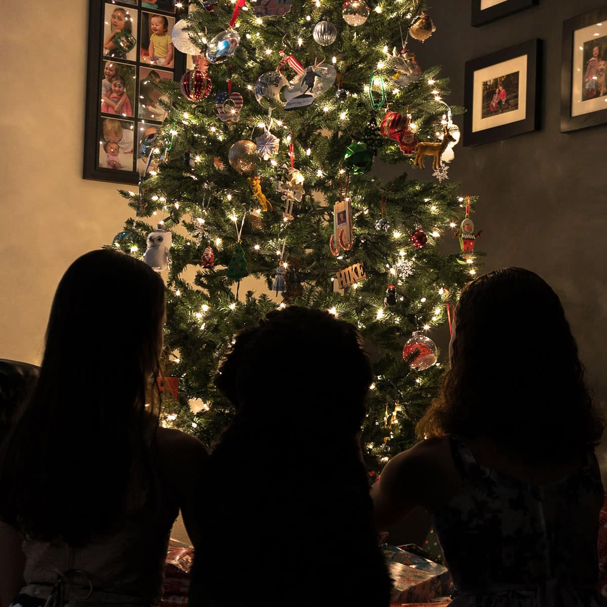 Christmas Tree Silhouette Photos (DIY)