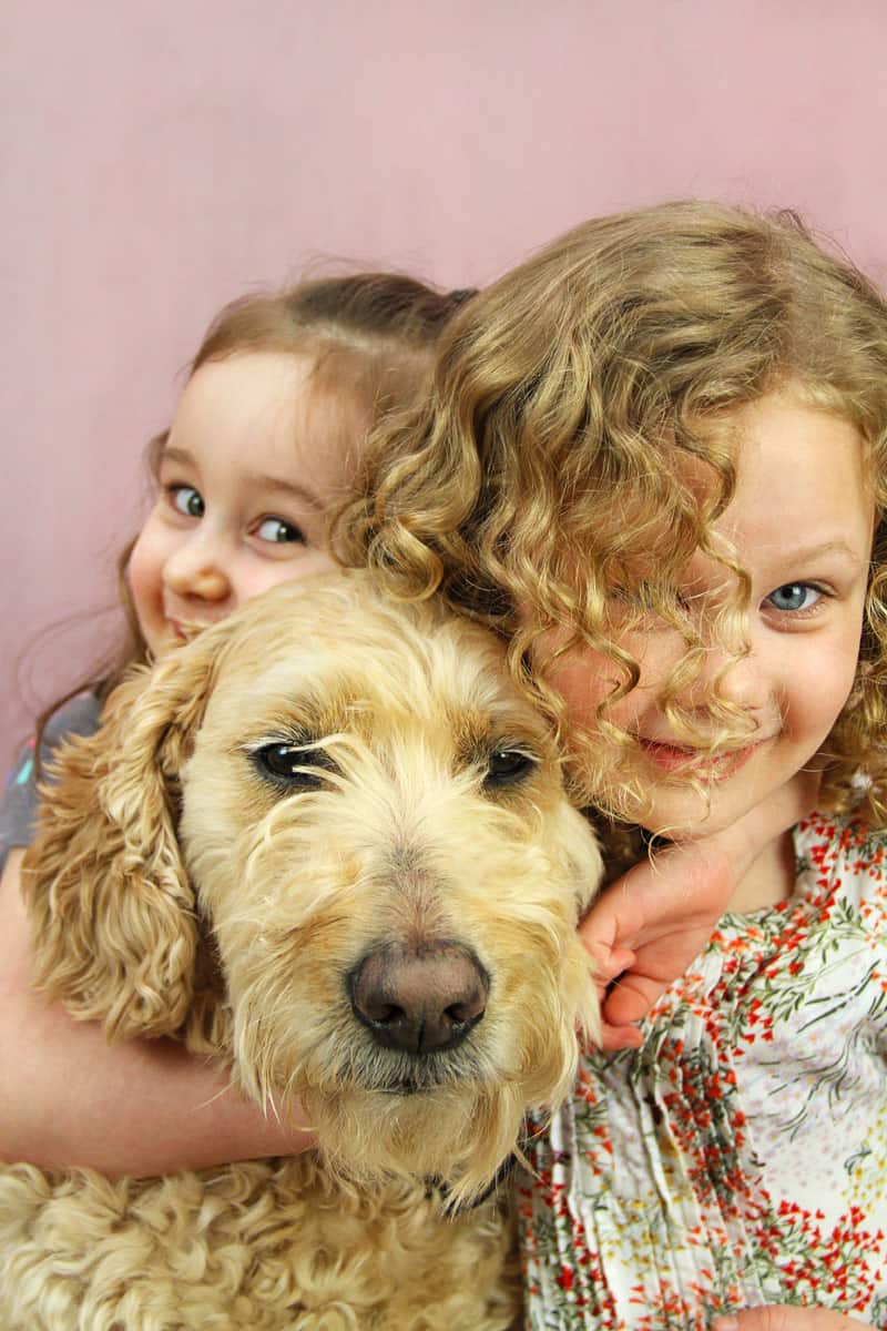 Goldendoodle posing with our two young daughters.