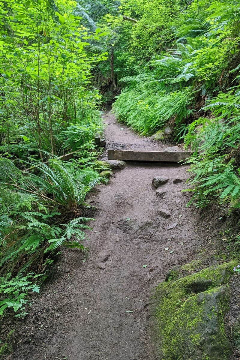 Mt Peak hiking trail.