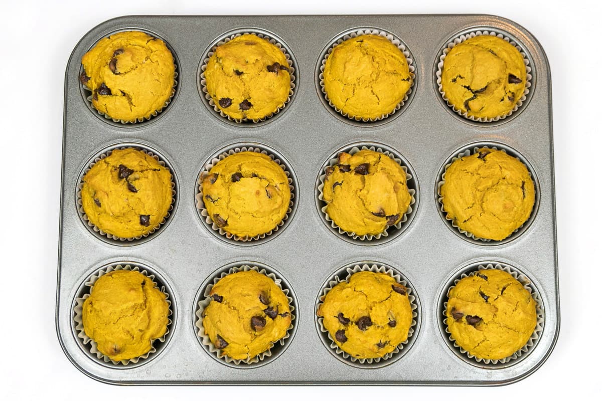 Pumpkin chocolate chip muffins after baking for seventeen minutes at four hundred degrees Fahrenheit.